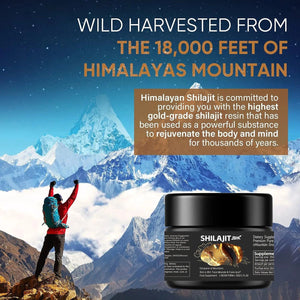 Shilajit Resin 50g